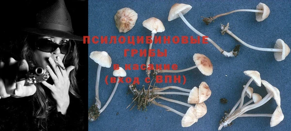 стафф Яровое